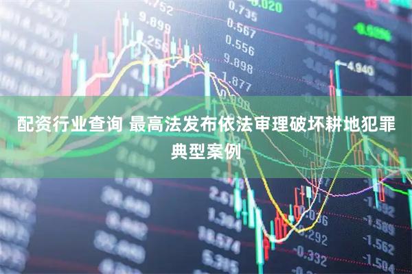 配资行业查询 最高法发布依法审理破坏耕地犯罪典型案例