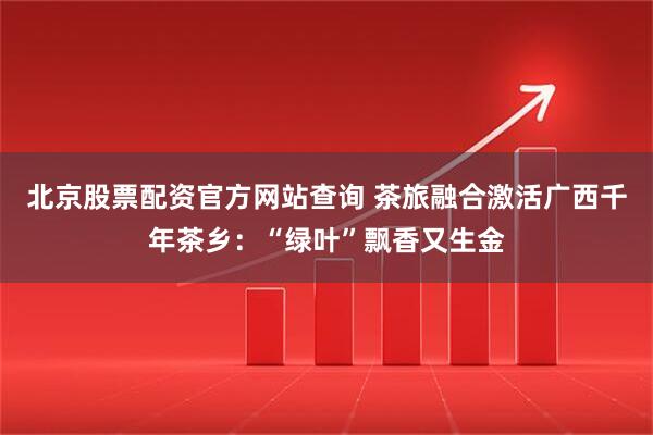 北京股票配资官方网站查询 茶旅融合激活广西千年茶乡：“绿叶”飘香又生金